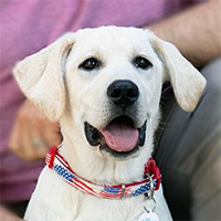 Profile photo of Cali.