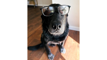 K9 Charlie wearing glasses.