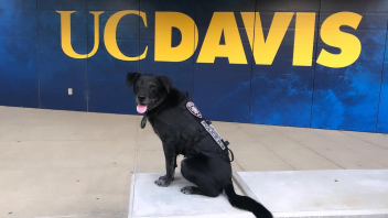 K9 Charlie in front of a large UC Davis sign.