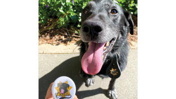 K9 Charlie next to a button pin with an illustration of him on it.
