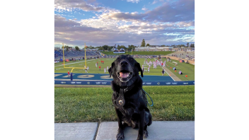 K9 Charlie with a UC Davis football game in the background.