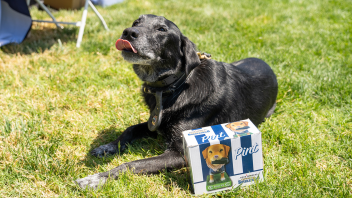 K9 Charlie sitting in the grass next to a box for a dog bobblehead.