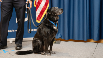 K9 Charlie with a medal around his neck.