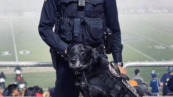 Photo of police officer and police dog.