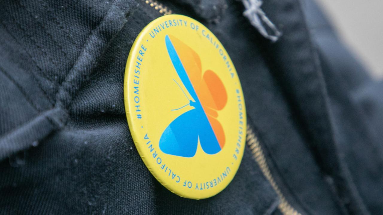 Pin with University of California #HomeIsHere DACA support