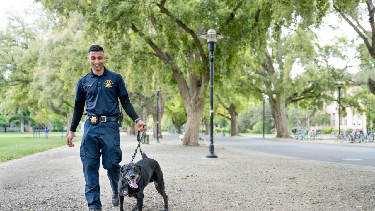 Officer Tabbasum Malik walking K-9 Charlie