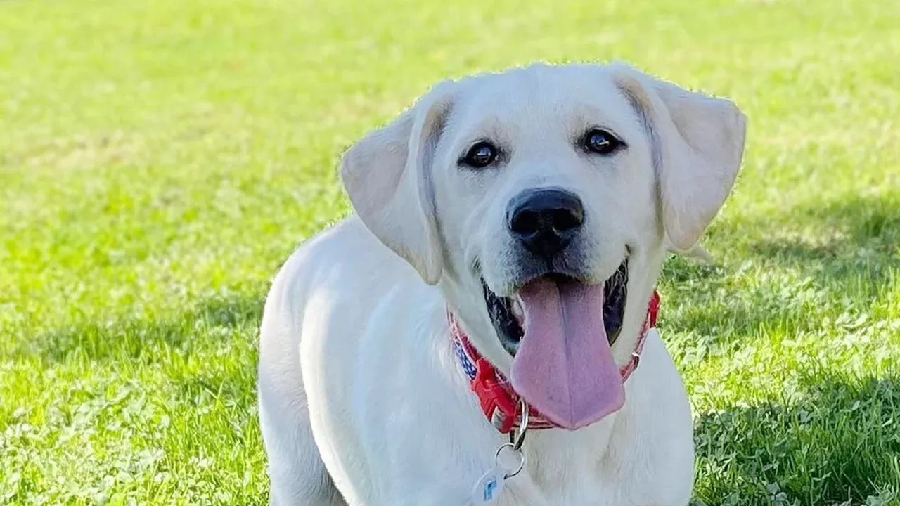 Photo of Cali