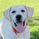 Photo of Cali