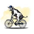 Decorative illustration of a cow riding a bicycle
